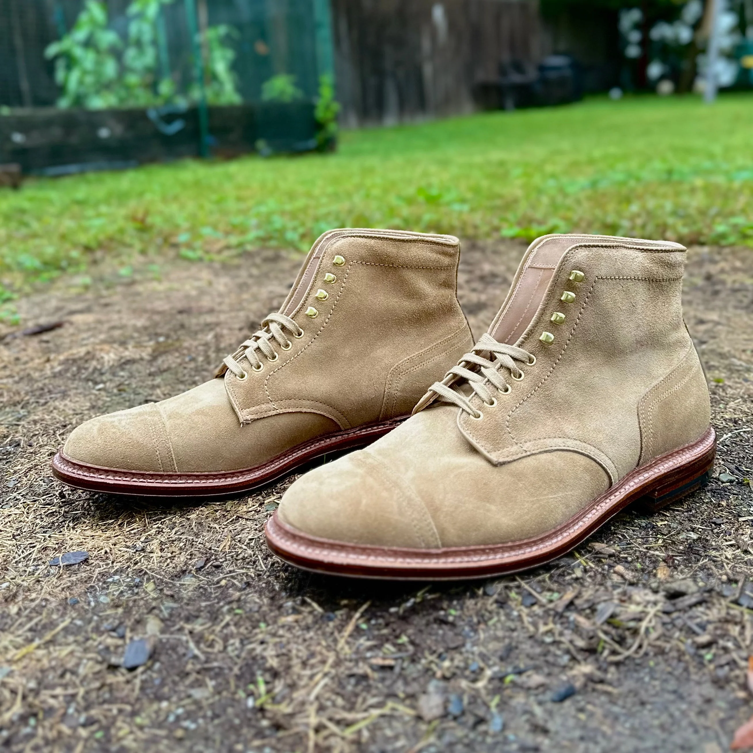 D2685H - 2/2 Cap Toe Boot in Tan Suede - Image 10