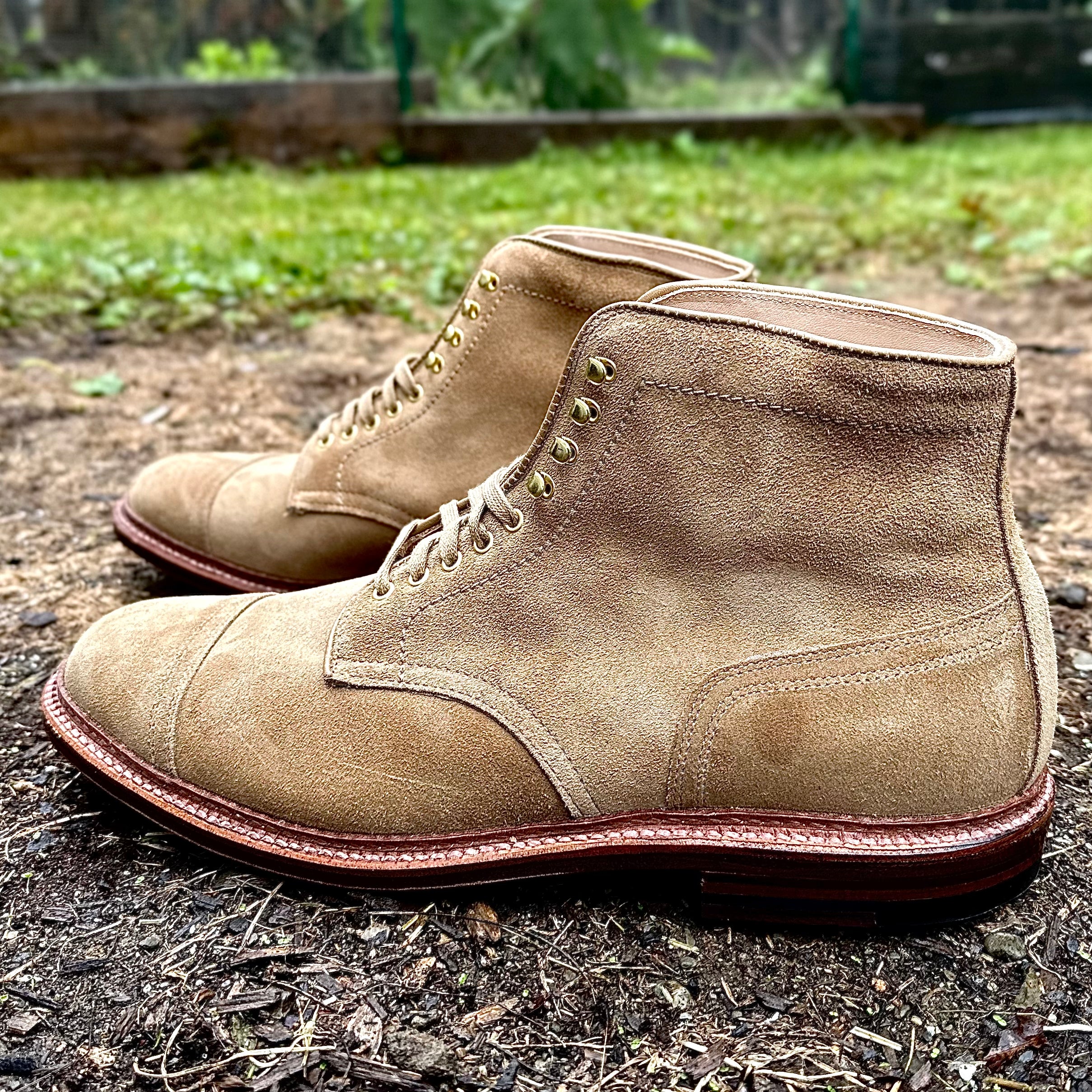 D2685H - 2/2 Cap Toe Boot in Tan Suede - Image 6