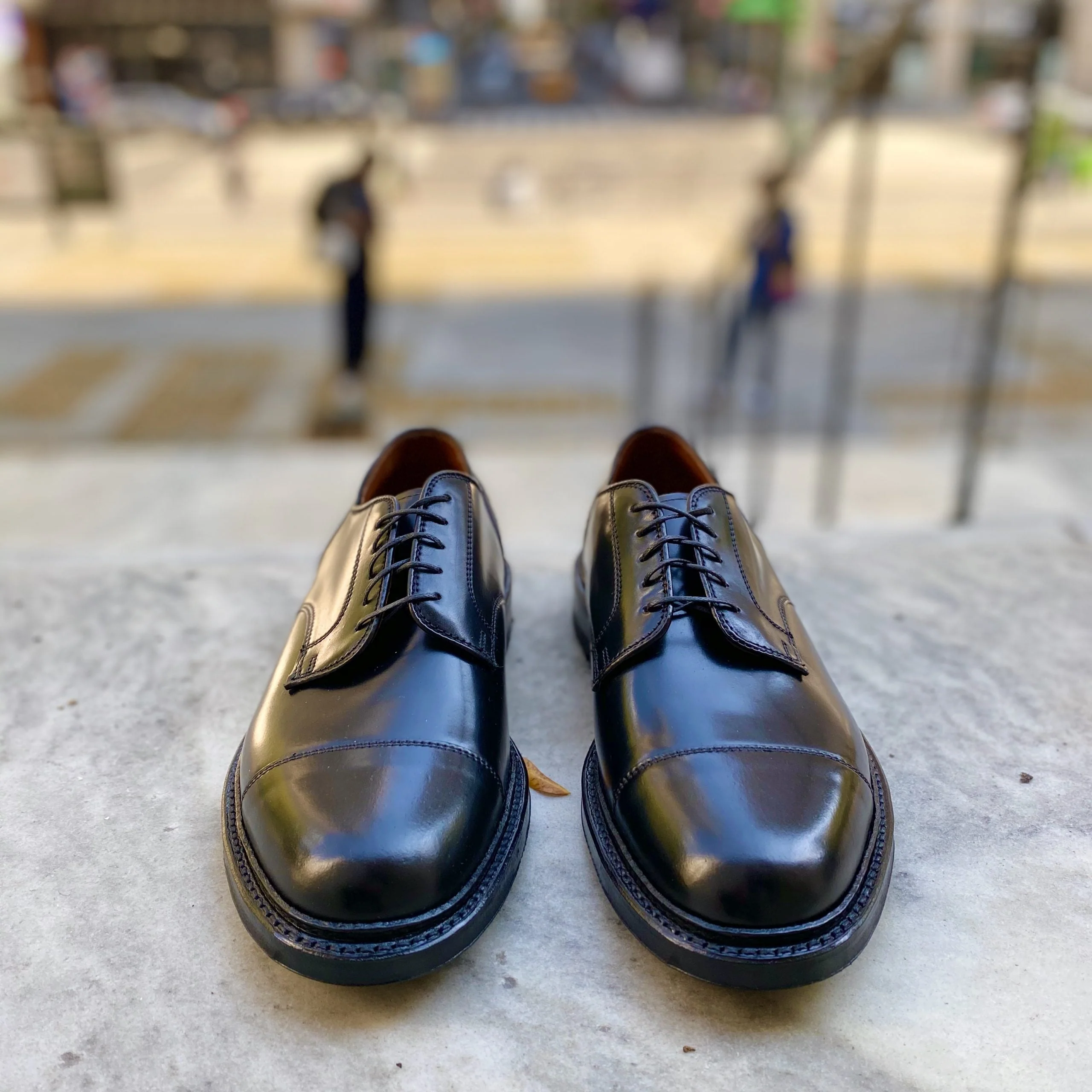 2175C - DeRosa Captoe Blucher in Black Shell - Image 3