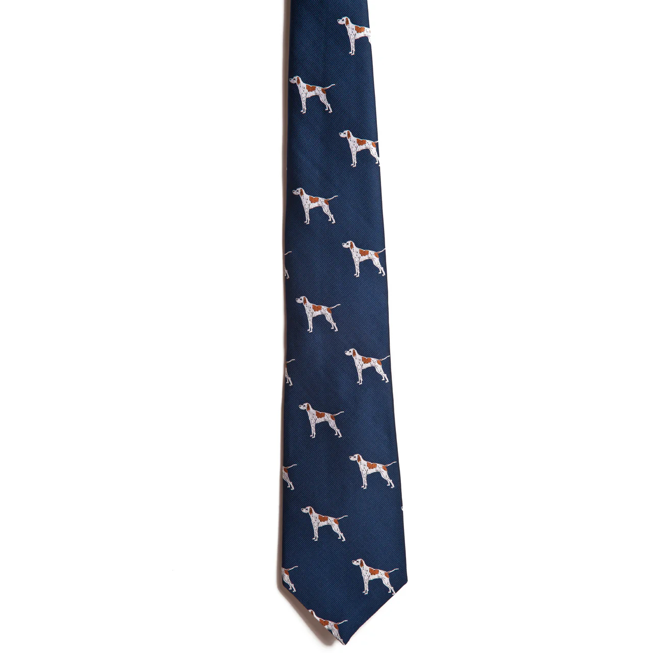 English Pointer