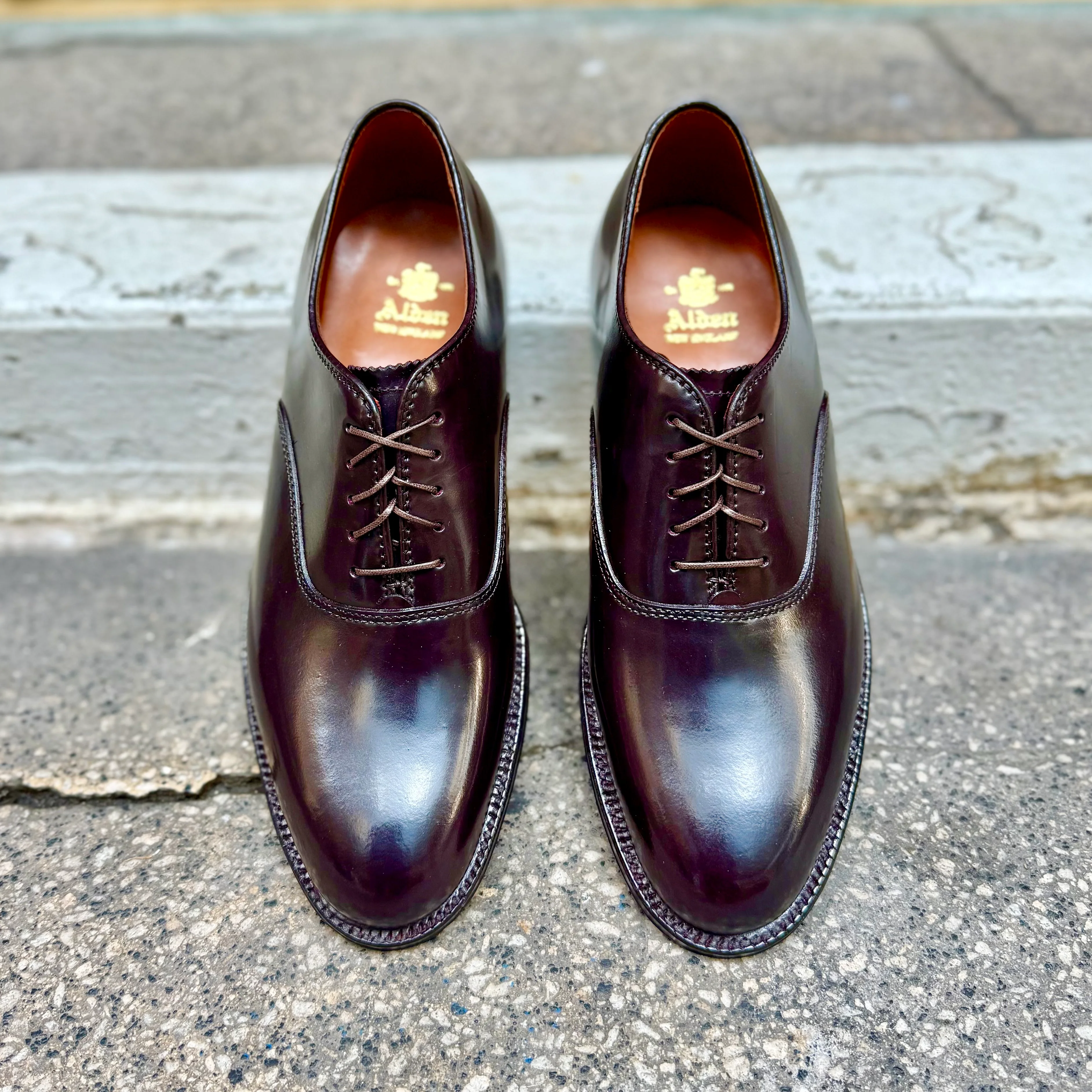 934 - Plain Toe Bal in Color 8 Shell - Image 4