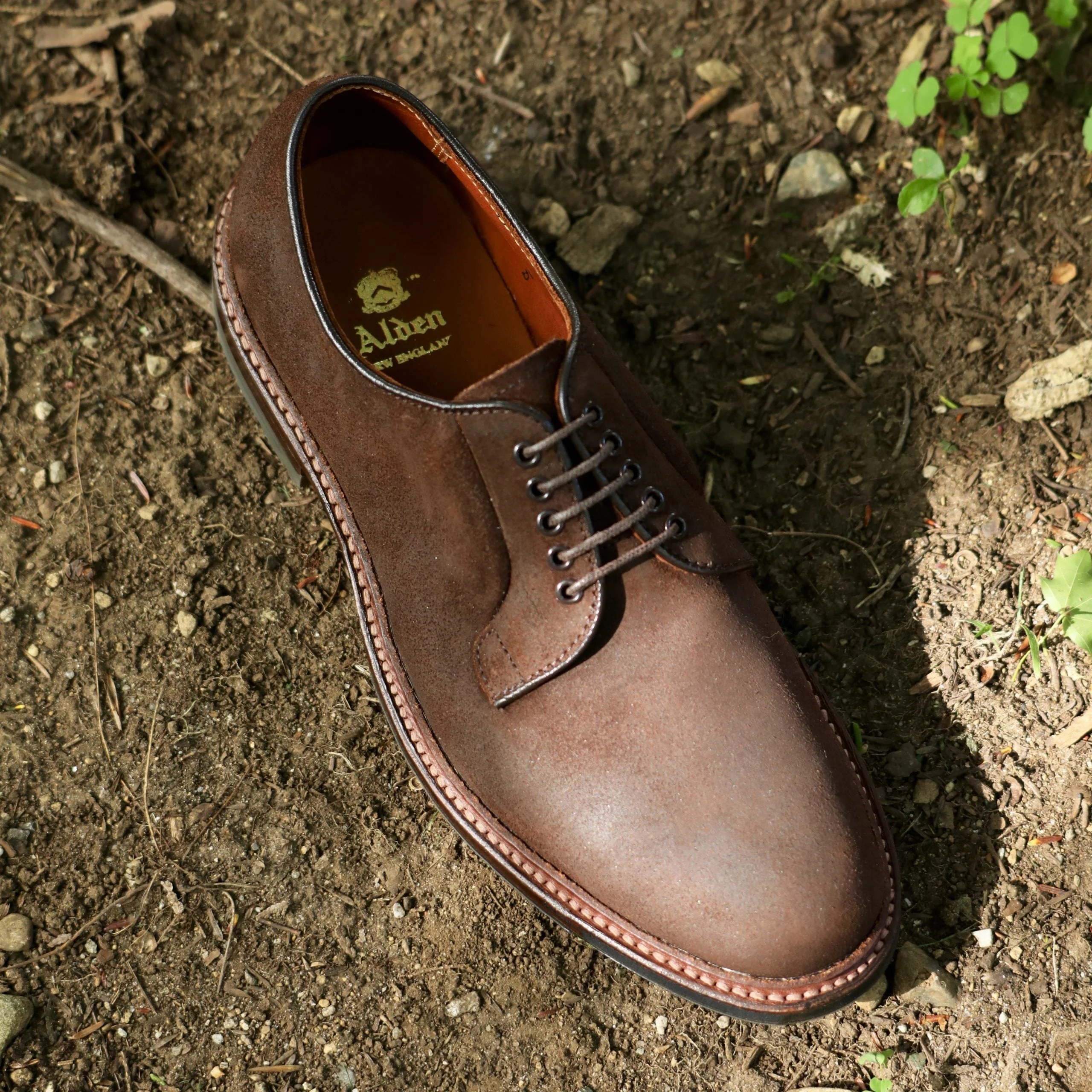 9474C - Plain Toe Blucher in Tobacco Reverse Chamois - Image 3