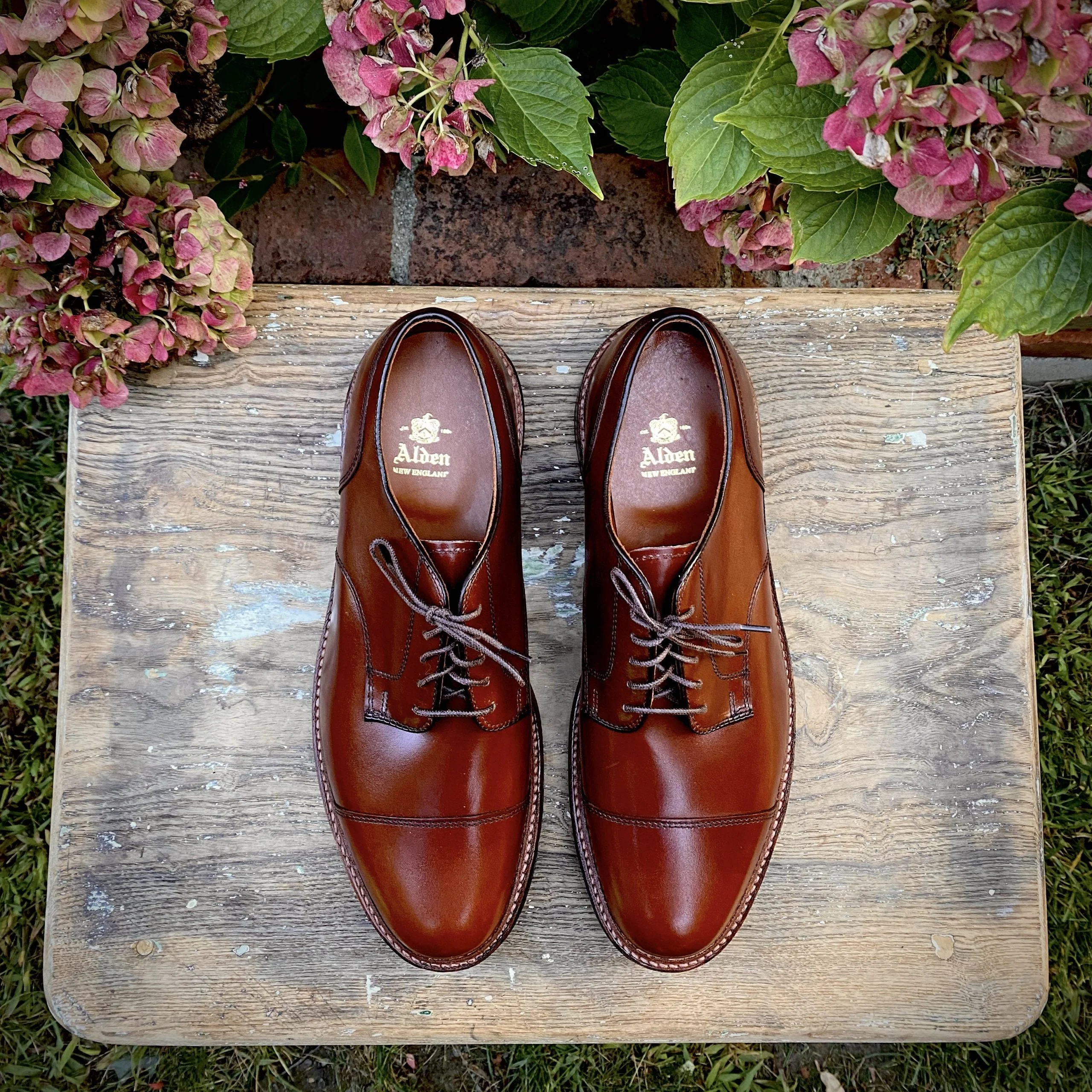 D9539C - "Ten to One" DeRosa Blucher in Madison Brown Calfskin - Image 4