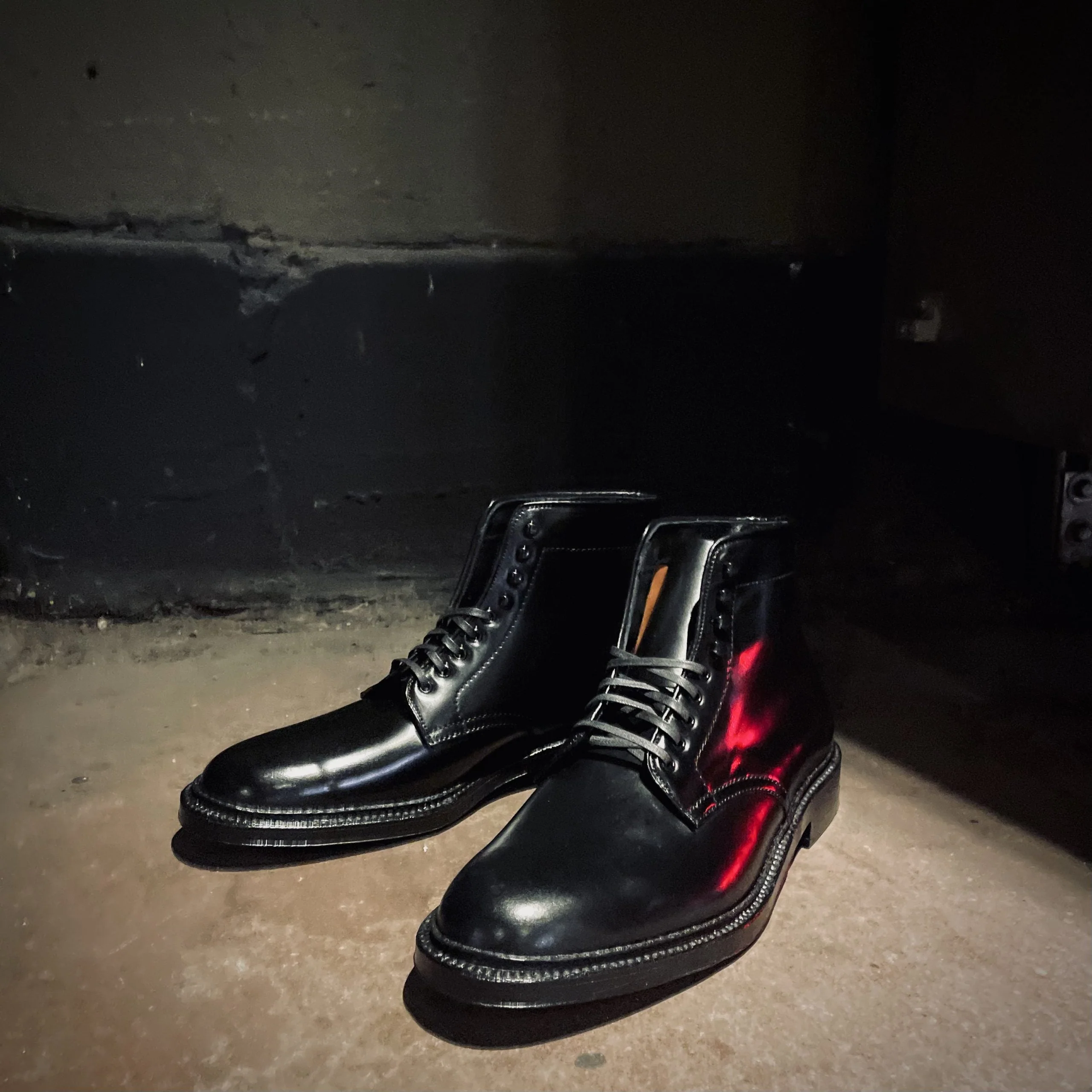 D6842H - Plain Toe "Director" Boot in Black Shell Cordovan - Image 3