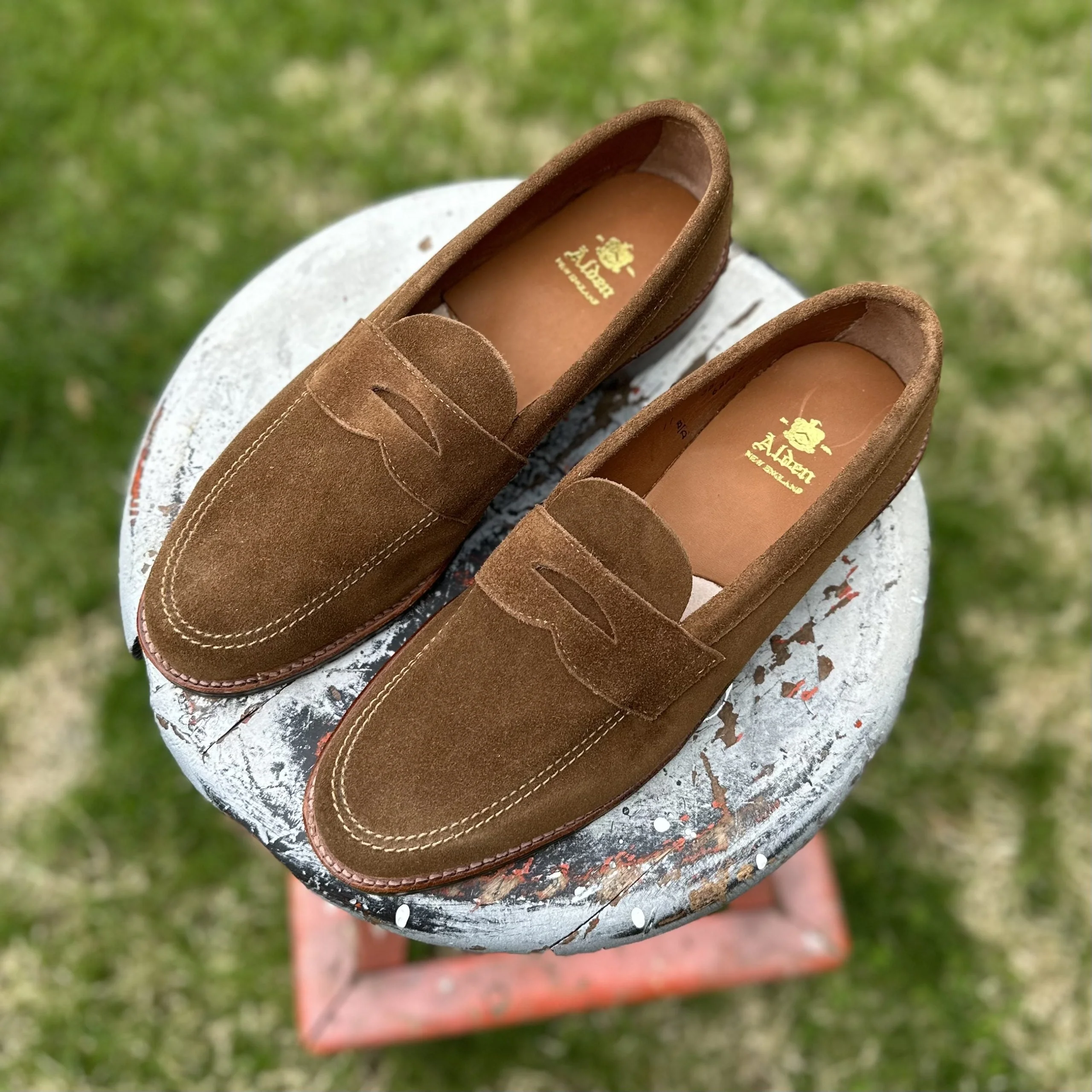 6221L - Unlined Penny Mocc in Snuff Suede - Image 6
